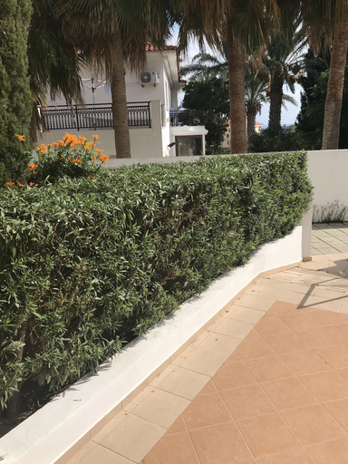 Others 5, Mediterranean dream, Larnaca