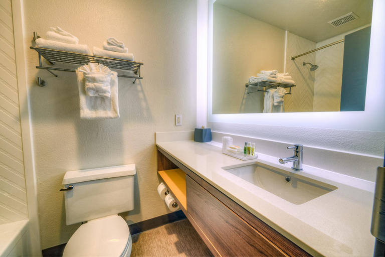 Bathroom 3, Holiday Inn TACOMA MALL by IHG, Pierce