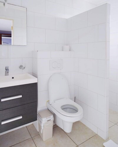 Bathroom 5, Arubiana Inn