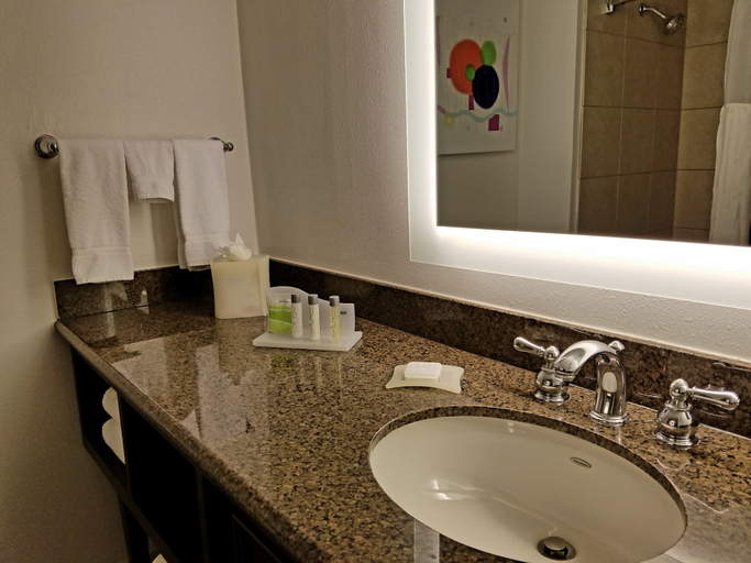 Bathroom 3, Holiday Inn IRVING - LAS COLINAS by IHG, Irving