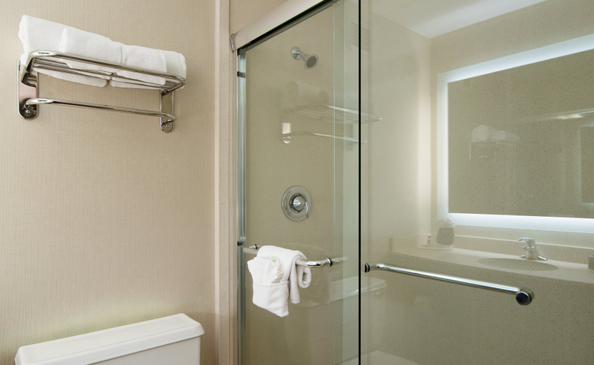Bathroom 4, Holiday Inn NASHVILLE-VANDERBILT (DWTN) by IHG, Davidson