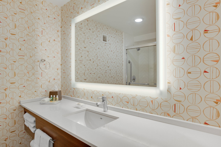 Bathroom 2, Holiday Inn ROANOKE AIRPORT-CONFERENCE CTR by IHG, Roanoke City