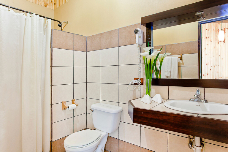 Bathroom 3, Savegre Hotel Natural Reserve & Spa, Pérez Zeledón