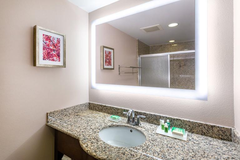 Bathroom 3, Holiday Inn WINTER HAVEN by IHG, Polk