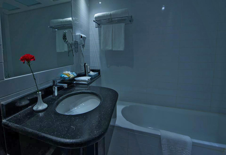 Bathroom 5, Kuwait Continental hotel, Kuwait City