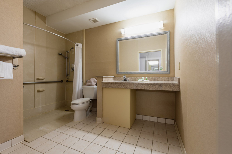 Bathroom 3, Holiday Inn SOUTH PLAINFIELD-PISCATAWAY by IHG, Middlesex