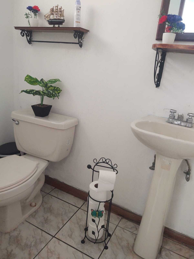 Bathroom 3, La Casa Rosa Monterrey, Monterrey
