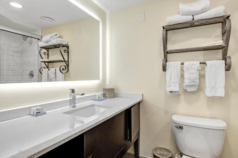 Bathroom 5, Holiday Inn PISCATAWAY - SOMERSET by IHG, Middlesex