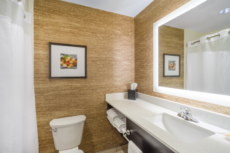Bathroom 5, Holiday Inn TERRE HAUTE by IHG, Vigo