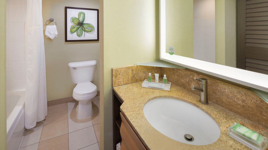 Bathroom 4, Holiday Inn SAN JOSE - SILICON VALLEY by IHG, Santa Clara