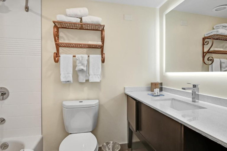 Bathroom 4, Holiday Inn PISCATAWAY - SOMERSET by IHG, Middlesex