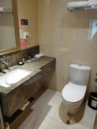 Bathroom 5, China Palace Hotel, Beijing