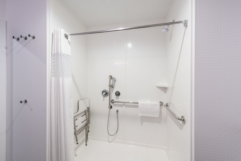 Bathroom 4, Hampton Inn Buffalo-Hamburg, Erie
