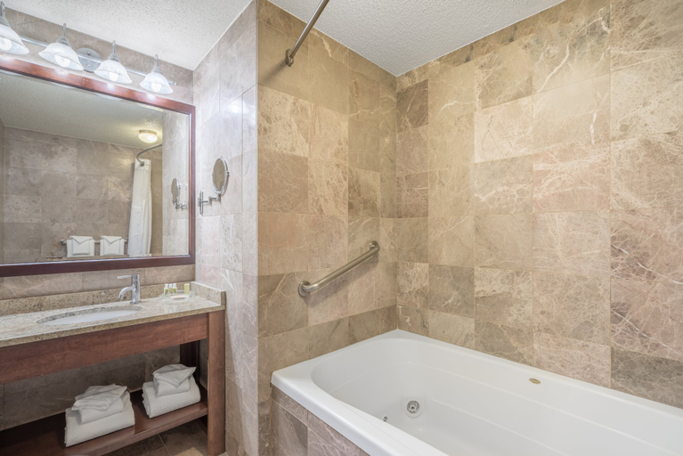 Bathroom 5, Holiday Inn CAPE COD - HYANNIS by IHG, Barnstable