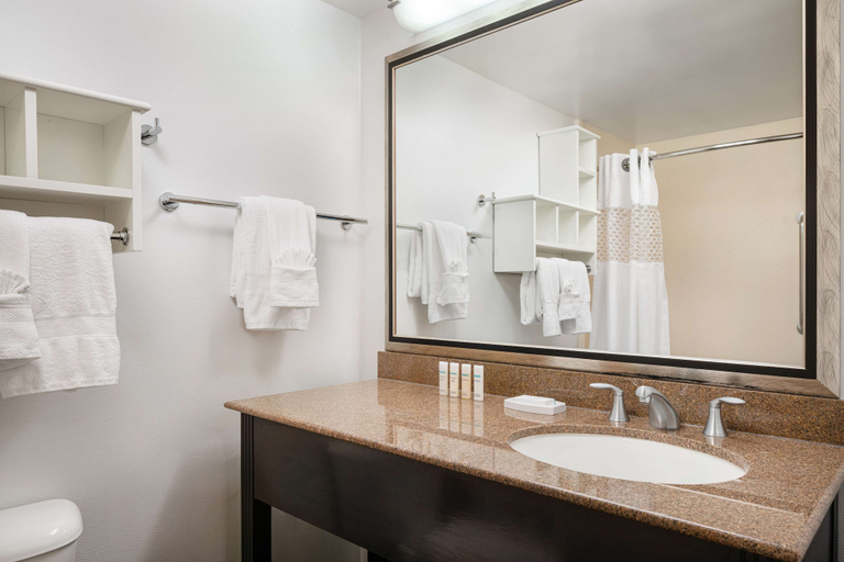 Bathroom 4, Hampton Inn Loveland, Larimer