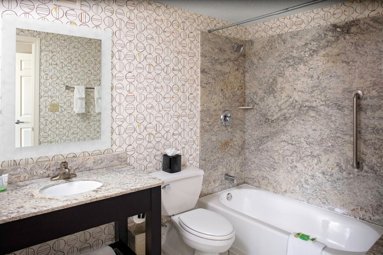 Bathroom 4, Holiday Inn BOSTON-DEDHAM HTL & CONF CTR by IHG, Norfolk