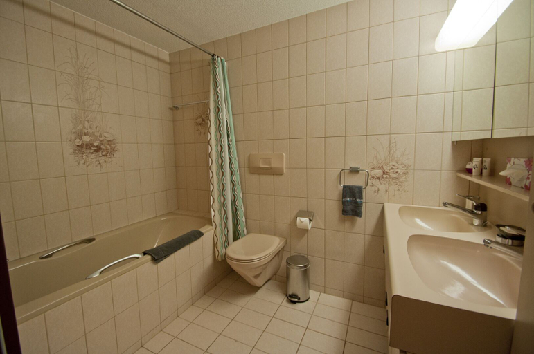 Bathroom 3, Apartment Alpina, Visp