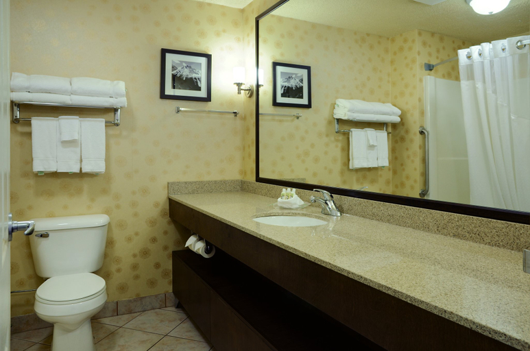Bathroom 5, Holiday Inn LETHBRIDGE by IHG, Division No. 2