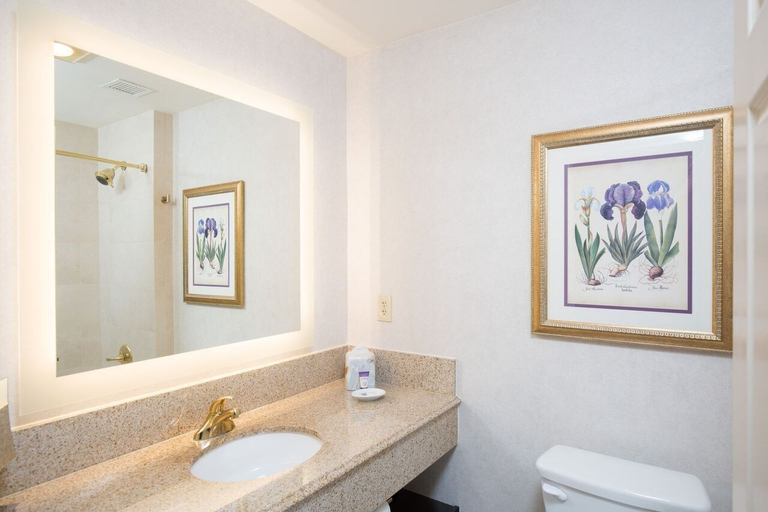 Bathroom 4, The Cook Hotel and Conference Center at LSU, East Baton Rouge