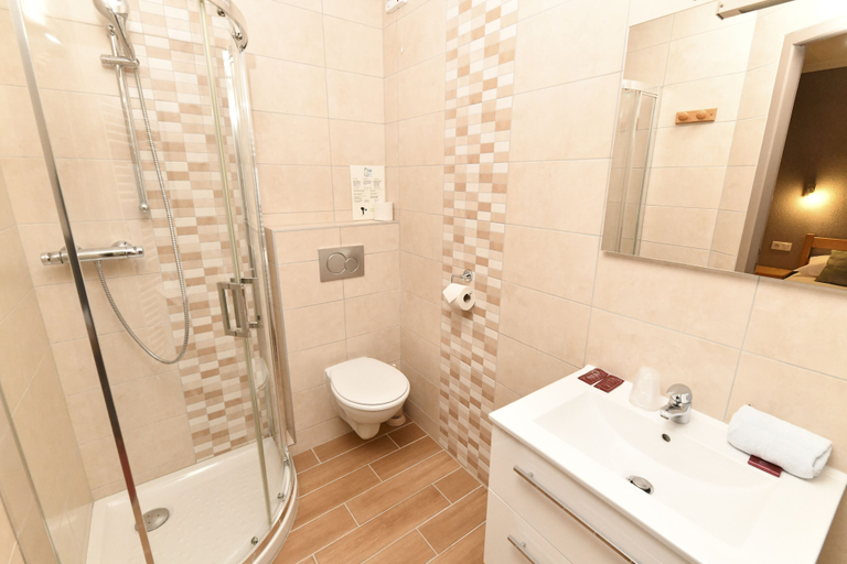 Bathroom, Hotel Restaurant Le Centre, Ain