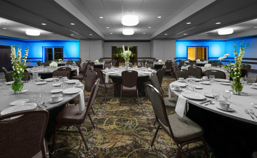 Business Facilities 2, Holiday Inn NASHVILLE-VANDERBILT (DWTN) by IHG, Davidson