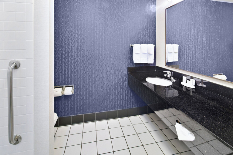 Bathroom 4, Fairfield Inn & Suites Marietta, Washington