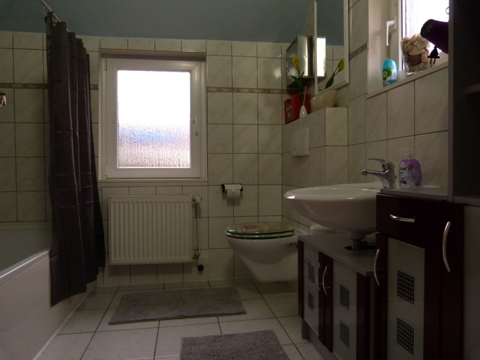 Bathroom, Ferienwohnung Fehnhuus, Leer