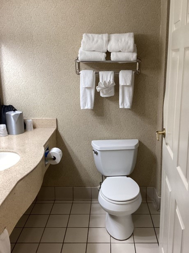 Bathroom 3, Holiday Inn VICKSBURG by IHG, Warren