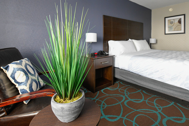 Bedroom 5, Holiday Inn NIAGARA FALLS STATE PARK ENTRY by IHG, Niagara