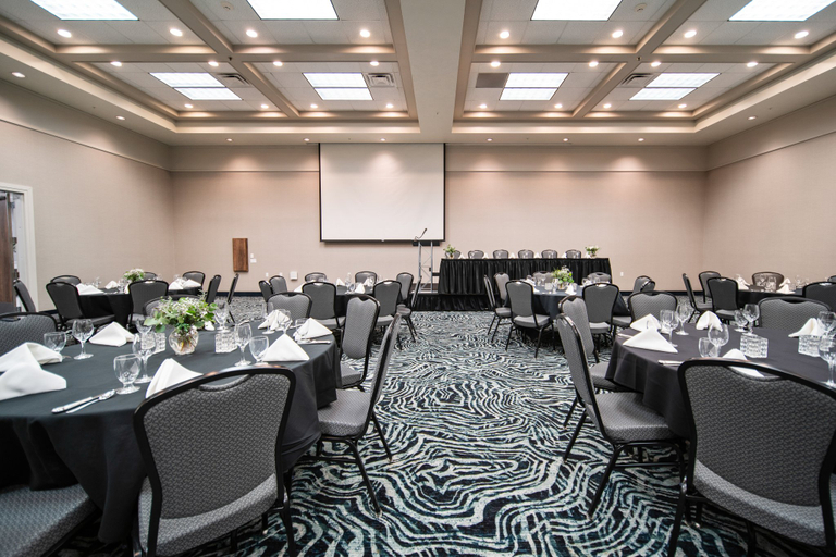 Business Facilities 3, Holiday Inn KEARNEY by IHG, Buffalo