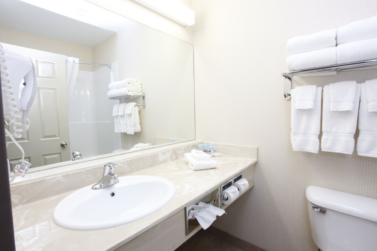Bathroom 4, Pomeroy Inn & Suites Hotel Dawson Creek, Peace River