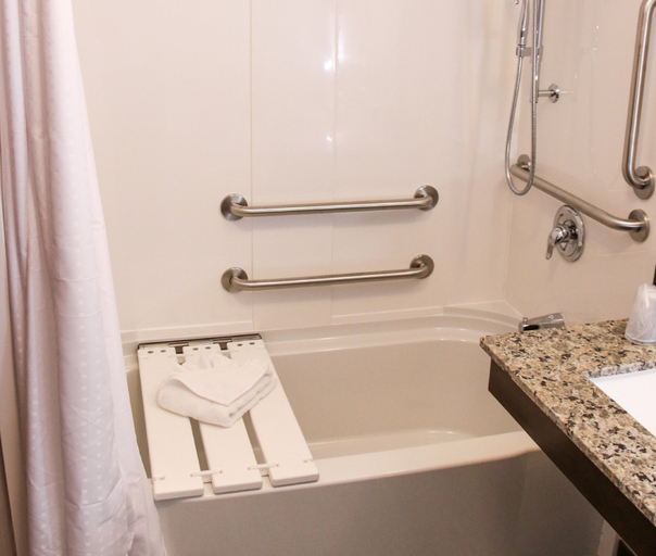 Bathroom 3, Holiday Inn & Suites DENVER TECH CENTER-CENTENNIAL by IHG, Arapahoe