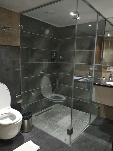 Bathroom 5, Kyriad Hotel Gulbarga, Gulbarga