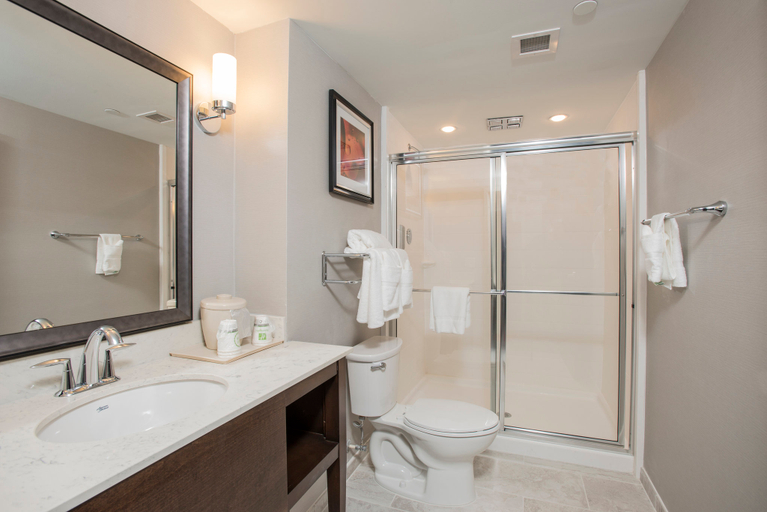 Bathroom 5, voco THE CLAIR CINCINNATI DOWNTOWN by IHG, Cincinnati