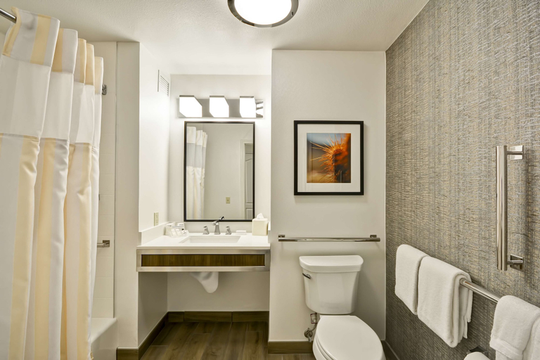 Bathroom 4, Hilton Garden Inn Austin/Round Rock, Williamson