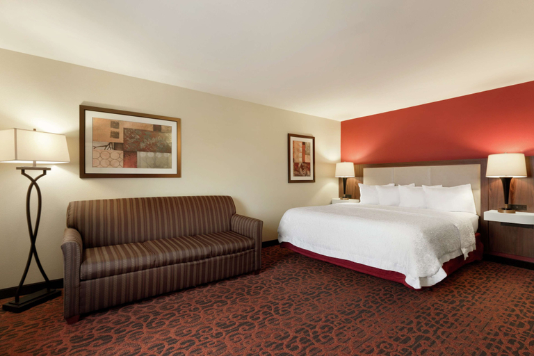 Bedroom 3, Hampton Inn Wichita Falls Sikes Senter Mall, Wichita
