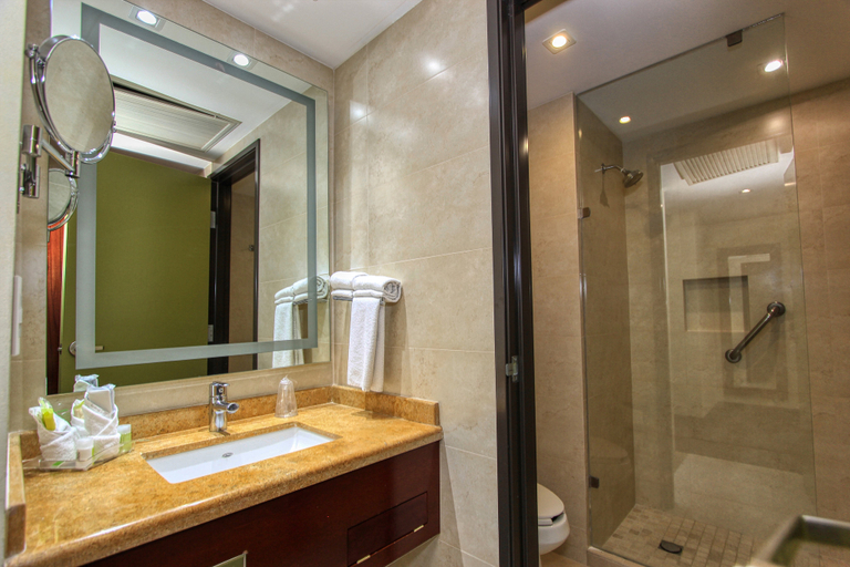Bathroom 4, Holiday Inn LEON by IHG, León