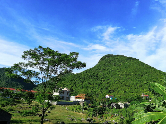 Others 4, Cuc Phuong Bungalow, Nho Quan
