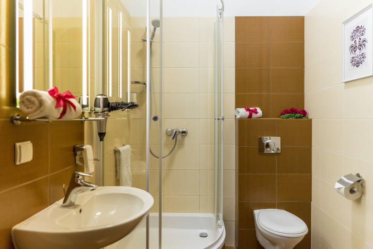 Bathroom 4, Rezydencja Sienkiewiczówka, Tatra