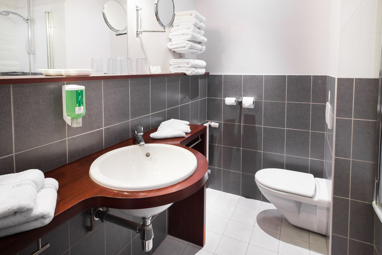 Bathroom 5, Best Western Adagio, Maine-et-Loire