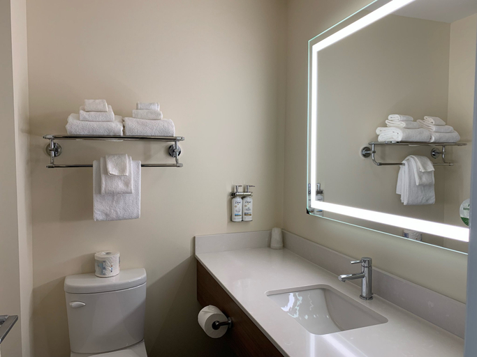 Bathroom 3, Holiday Inn VICTORIA � ELK LAKE by IHG, Capital