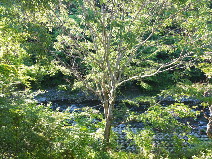 Scenery 7