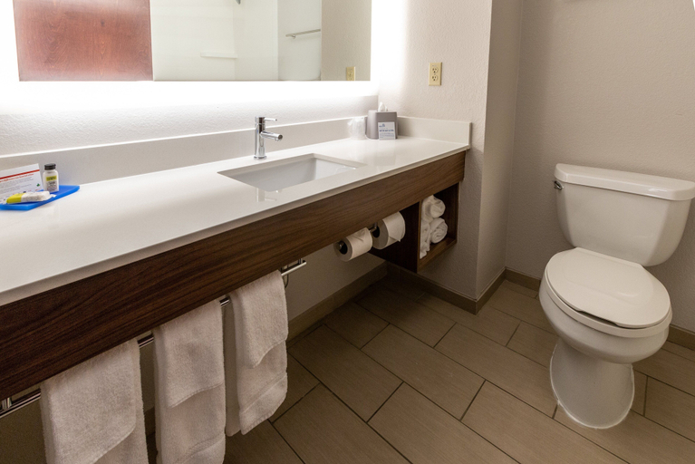Bathroom 3, Holiday Inn Express & Suites TUPELO by IHG, Lee