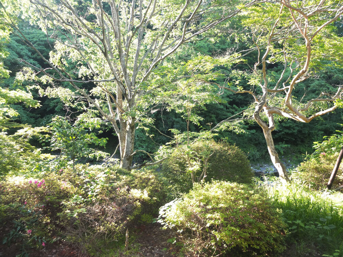 Scenery 6