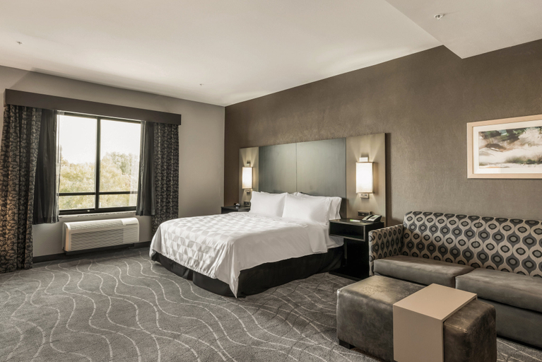 Bedroom 5, Holiday Inn & Suites SILICON VALLEY - MILPITAS by IHG, Santa Clara
