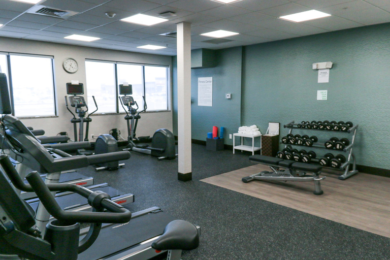 Others 5, Holiday Inn & Suites DENVER TECH CENTER-CENTENNIAL by IHG, Arapahoe