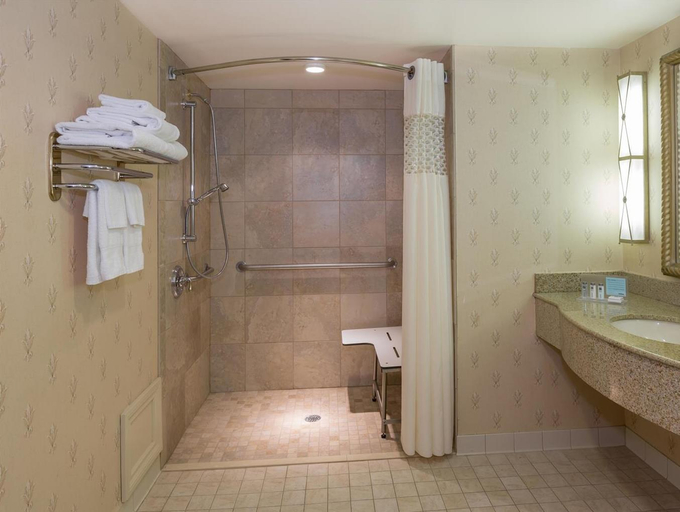 Bathroom 4, Hampton Inn Buffalo-Williamsville, Erie