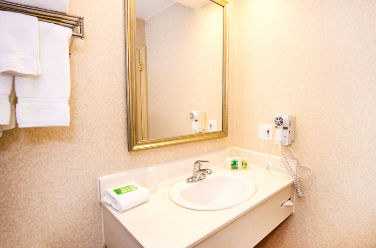Bathroom 3, Holiday Inn HINTON by IHG, Division No. 14