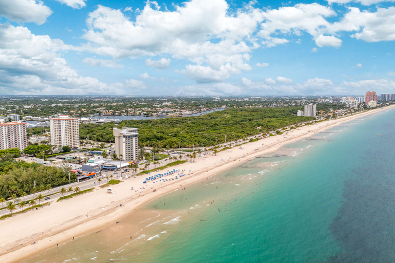 Others 5, Purple Pelican by Opus (Suite 4), Broward