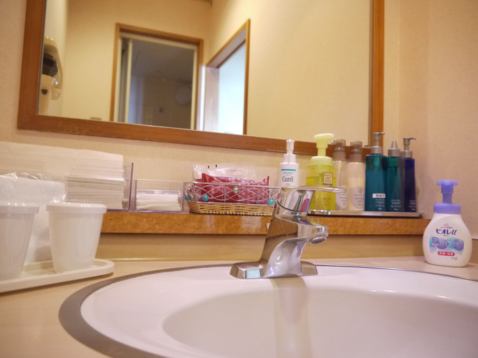 Bathroom 3, Hanashibuki, Tateyama